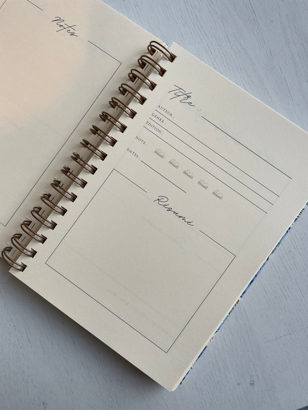 Journal de Lecture à personnaliser