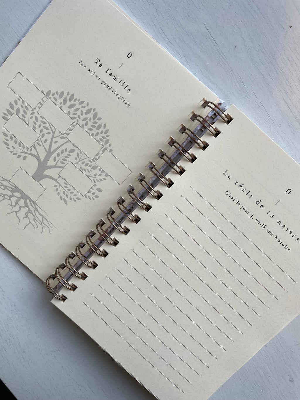 Journal de naissance Maison Paon à personnaliser
